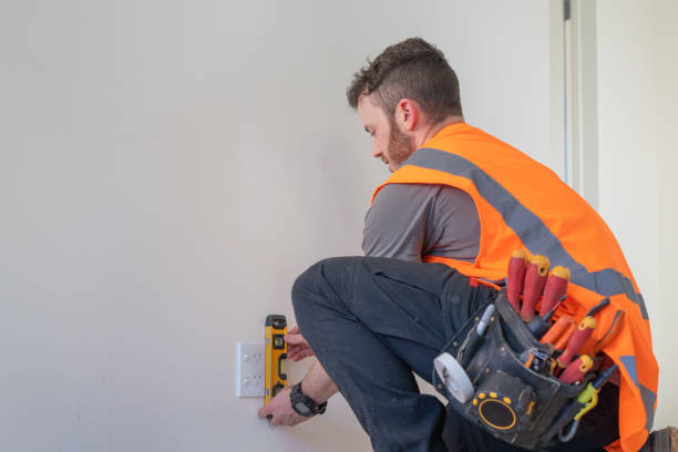 Best Electric Panel Repair  in Lancaster, SC